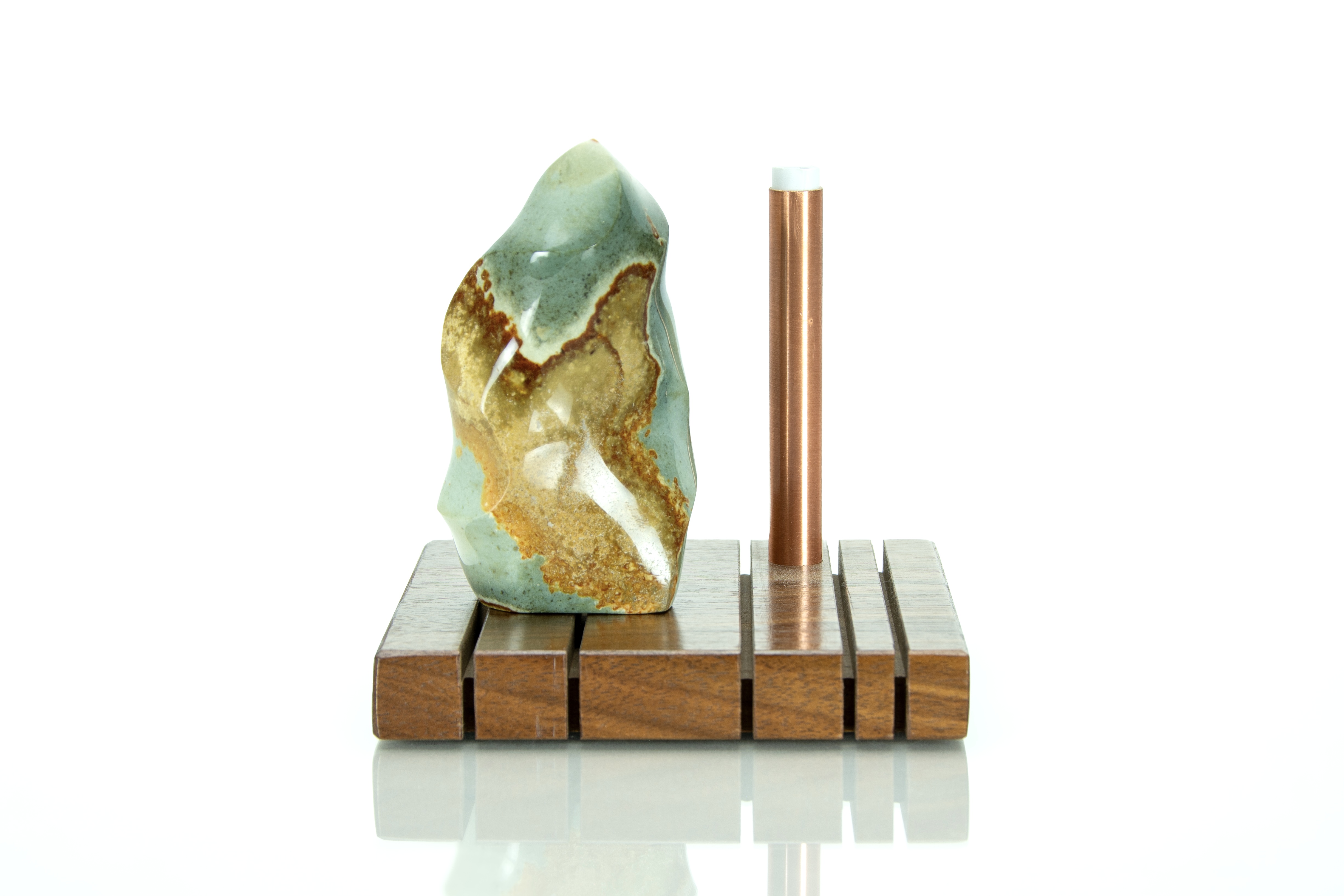 Sea Jasper Fossil Stand